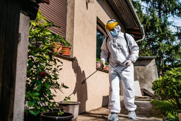 Best Best Pest Control Companies  in Chandler, TX