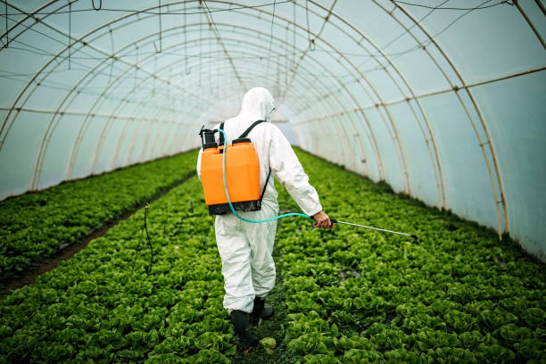 Best Affordable Pest Control Services  in Chandler, TX