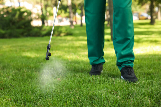 Best Spider Control Near Me  in Chandler, TX