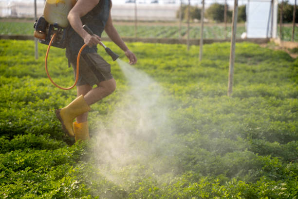 Best Affordable Pest Control Services  in Chandler, TX