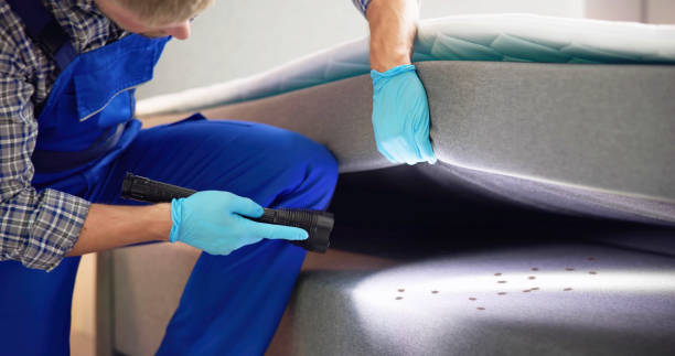 Best Best Pest Control Companies  in Chandler, TX