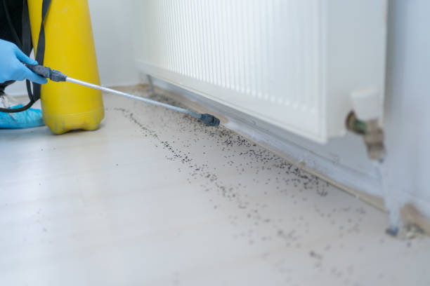 Best Cockroach Control Services  in Chandler, TX
