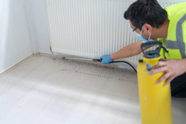 Best Pest Control Near Me  in Chandler, TX