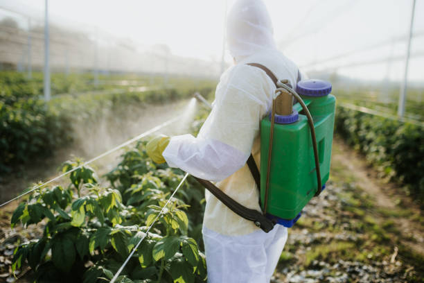 Best Flea Control Services  in Chandler, TX